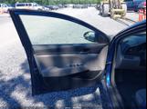Driver Side Front Door Panel
